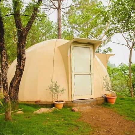 Jusgar Resort And Hote Dogadda Екстер'єр фото